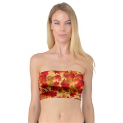 Wallpaper Background Autumn Fall Bandeau Top