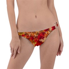 Wallpaper Background Autumn Fall Ring Detail Bikini Bottom