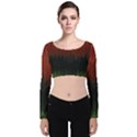 Texture Hatched Stamping Tissue Velvet Long Sleeve Crop Top View1