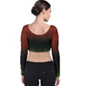 Texture Hatched Stamping Tissue Velvet Long Sleeve Crop Top View2