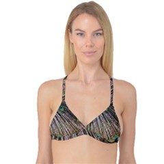 Peacock Feathers Pattern Colorful Reversible Tri Bikini Top