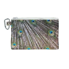 Peacock Feathers Pattern Colorful Canvas Cosmetic Bag (medium) by Vaneshart