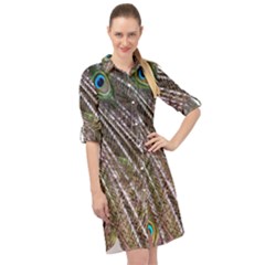 Peacock Feathers Pattern Colorful Long Sleeve Mini Shirt Dress