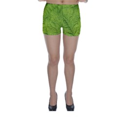 Structure Nature Texture Pattern Skinny Shorts by Vaneshart