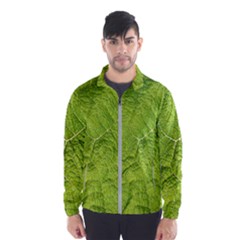 Structure Nature Texture Pattern Men s Windbreaker