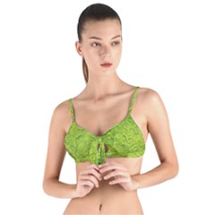 Structure Nature Texture Pattern Tie Up Cut Bikini Top