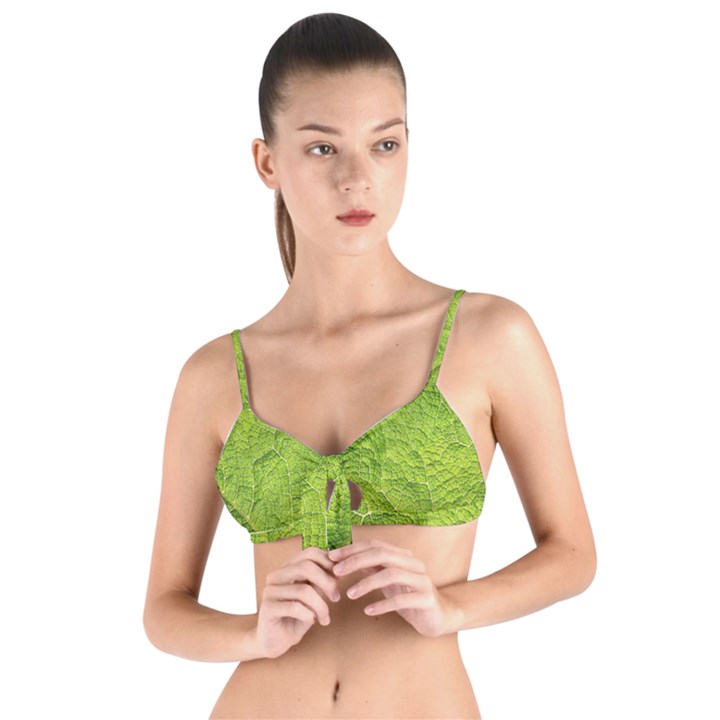 Structure Nature Texture Pattern Tie Up Cut Bikini Top