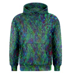 Essence Of A Peacock Men s Pullover Hoodie by bloomingvinedesign