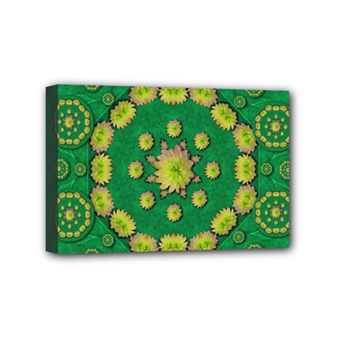 Fauna Bloom Mandalas On Bohemian Green Leaves Mini Canvas 6  X 4  (stretched) by pepitasart