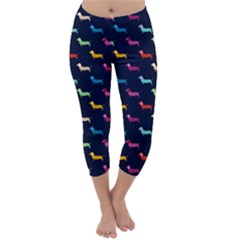 Colorful Dachshund Dog Blue Capri Winter Leggings  by trulycreative