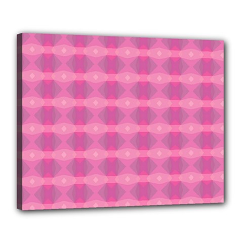 Pink Canvas 20  X 16  (stretched)