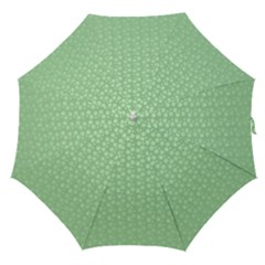 Background Polka Green Straight Umbrellas