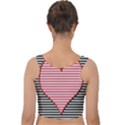 Heart Stripes Symbol Striped Velvet Crop Top View2