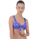 Pattern Texture Feet Dog Blue Front Tie Bikini Top View1