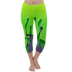 Slimed Capri Winter Leggings 