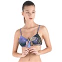 Little Fairy With Dove Tie Up Cut Bikini Top View1