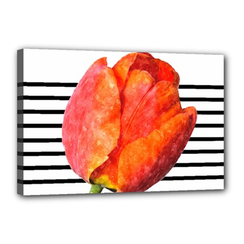 Tulip Watercolor Red And Black Stripes Canvas 18  X 12  (stretched) by picsaspassion