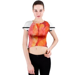 Tulip Watercolor Red And Black Stripes Crew Neck Crop Top by picsaspassion