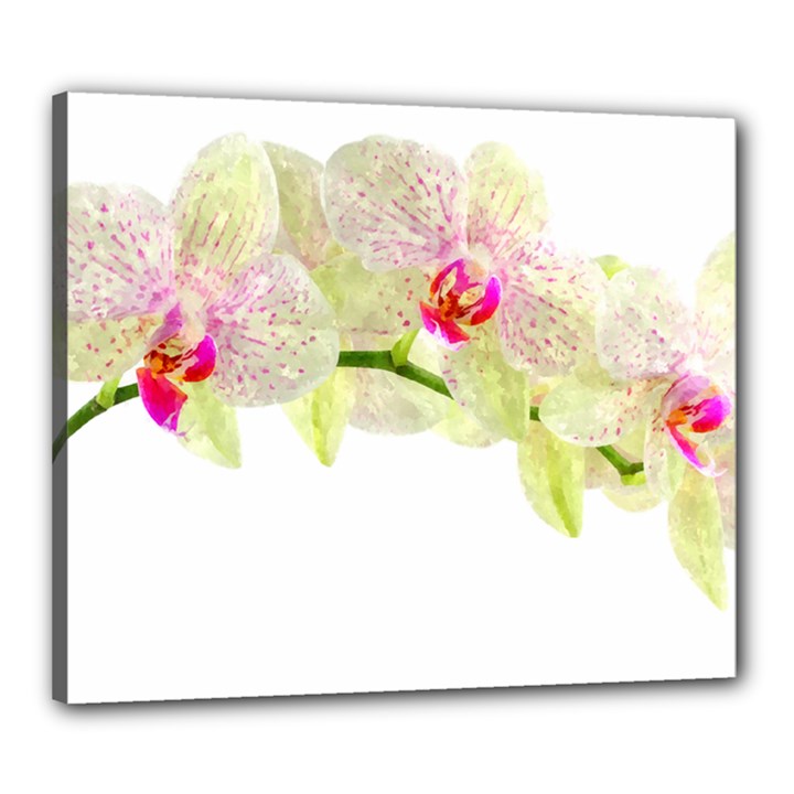 Phalenopsis orchid white lilac watercolor aquarel Canvas 24  x 20  (Stretched)