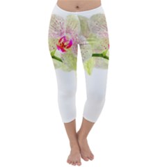 Phalenopsis Orchid White Lilac Watercolor Aquarel Capri Winter Leggings  by picsaspassion