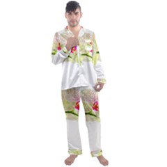 Phalenopsis Orchid White Lilac Watercolor Aquarel Men s Satin Pajamas Long Pants Set by picsaspassion