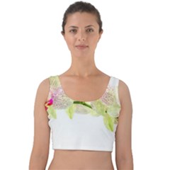 Phalenopsis Orchid White Lilac Watercolor Aquarel Velvet Crop Top