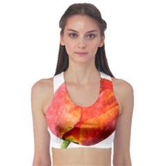 Spring Tulip Red Watercolor Aquarel Sports Bra by picsaspassion