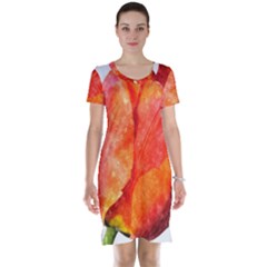 Spring Tulip Red Watercolor Aquarel Short Sleeve Nightdress by picsaspassion