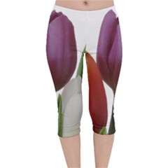 Tulips Spring Bouquet Velvet Capri Leggings  by picsaspassion