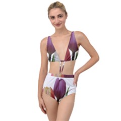 Tulips Spring Bouquet Tied Up Two Piece Swimsuit by picsaspassion