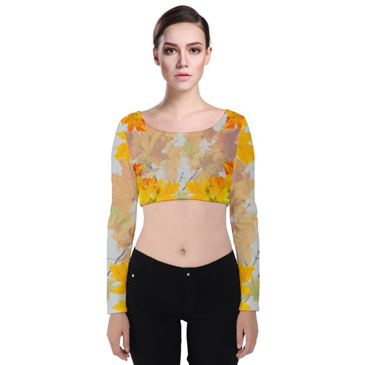 Autumn maple leaves, floral art Velvet Long Sleeve Crop Top