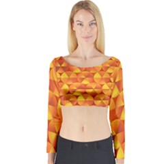 Background Triangle Circle Abstract Long Sleeve Crop Top