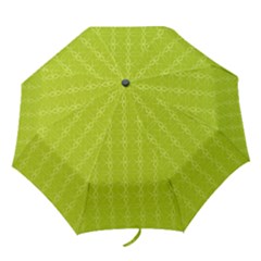 Background Texture Pattern Green Folding Umbrellas