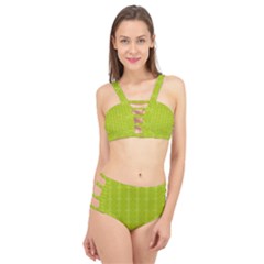 Background Texture Pattern Green Cage Up Bikini Set