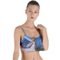 Little Fairy In The Night Layered Top Bikini Top  View1