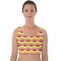 Background Colorful Chevron Velvet Crop Top View1