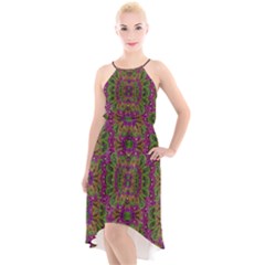 Peacock Lace In The Nature High-low Halter Chiffon Dress  by pepitasart