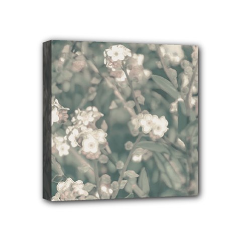 Beauty Floral Scene Photo Mini Canvas 4  X 4  (stretched) by dflcprintsclothing