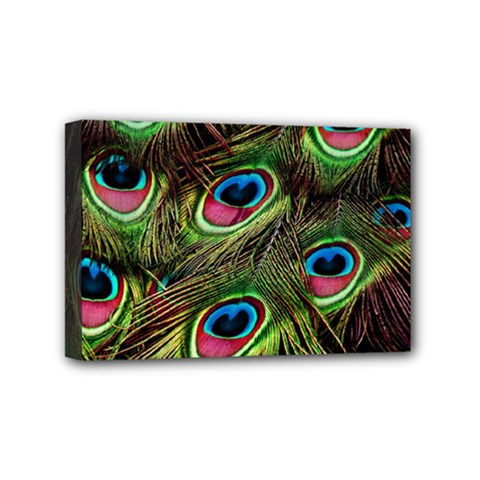 Peacock Feathers Color Plumage Mini Canvas 6  X 4  (stretched)