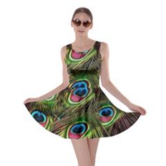 Peacock Feathers Color Plumage Skater Dress by Celenk