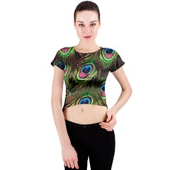 Peacock Feathers Color Plumage Crew Neck Crop Top