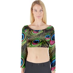 Peacock Feathers Color Plumage Long Sleeve Crop Top by Celenk