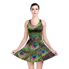 Peacock Feathers Color Plumage Reversible Skater Dress by Celenk