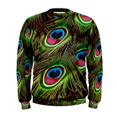 Peacock Feathers Color Plumage Men s Sweatshirt