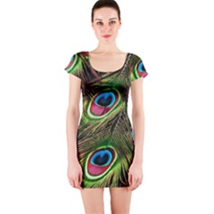 Peacock Feathers Color Plumage Short Sleeve Bodycon Dress by Celenk