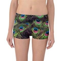 Peacock Feathers Color Plumage Reversible Boyleg Bikini Bottoms