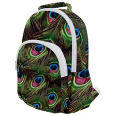 Peacock Feathers Color Plumage Rounded Multi Pocket Backpack by Celenk