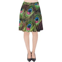 Peacock Feathers Color Plumage Velvet High Waist Skirt by Celenk