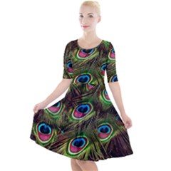 Peacock Feathers Color Plumage Quarter Sleeve A-line Dress by Celenk