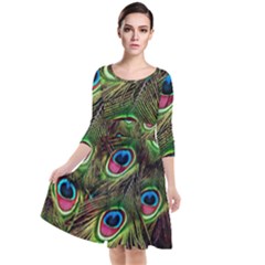 Peacock Feathers Color Plumage Quarter Sleeve Waist Band Dress